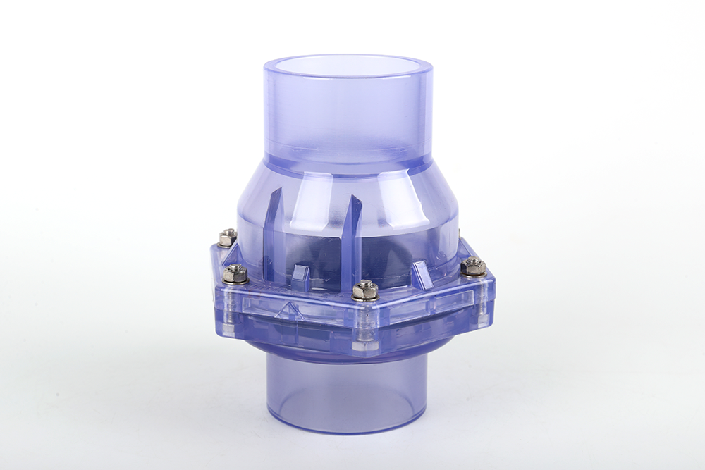 凭祥透明翻板式止回阀